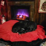 ravensleepingbythefire (1)